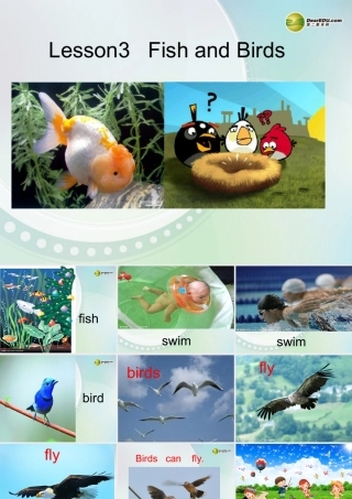 三年级英语下册 Lesson 3 Fish and Birds课件 （新版）冀教版