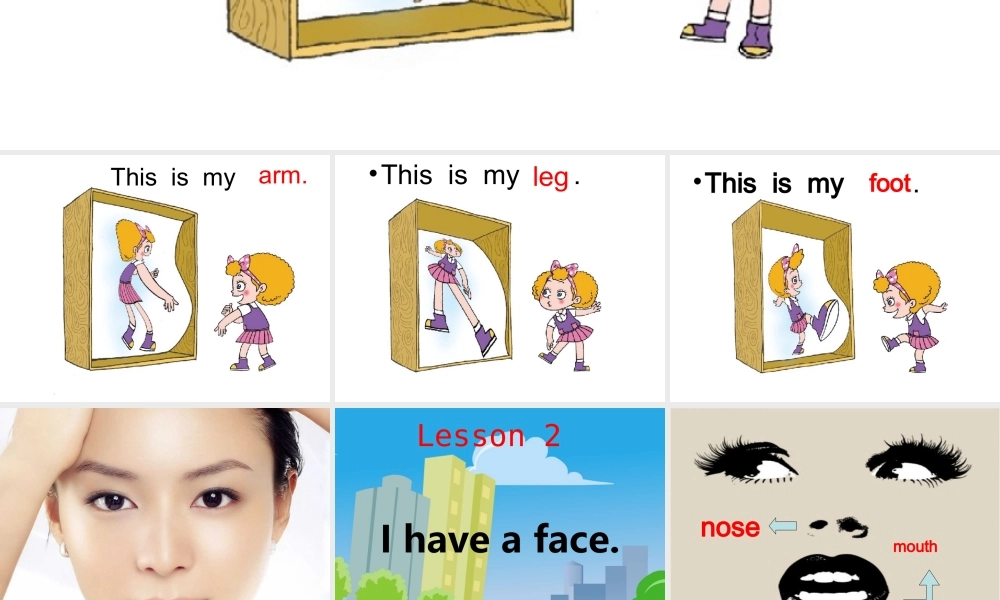 三年级英语上册 Unit 4 Lesson 2 I have a face课件 鲁科版-鲁科版小学三年级上册英语课件