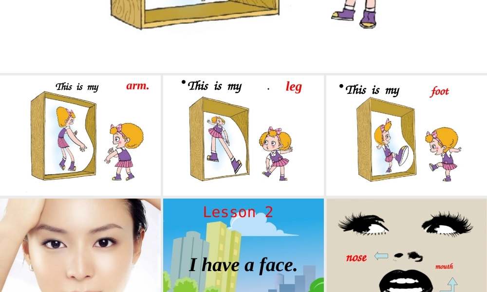 三年级英语上册 Unit 4 Lesson 2 I have a face课件1 鲁科版-鲁科版小学三年级上册英语课件