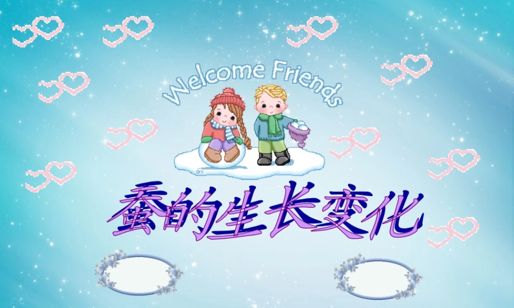 三年级自然与科学下册 蚕的生长变化课件 人教版