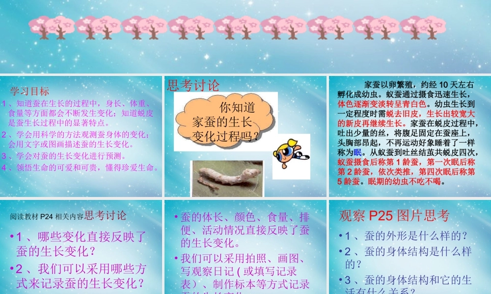 三年级自然与科学下册 蚕的生长变化课件 人教版