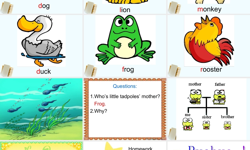 三年级英语上册 Unit 6 Lesson 11课件 闽教版