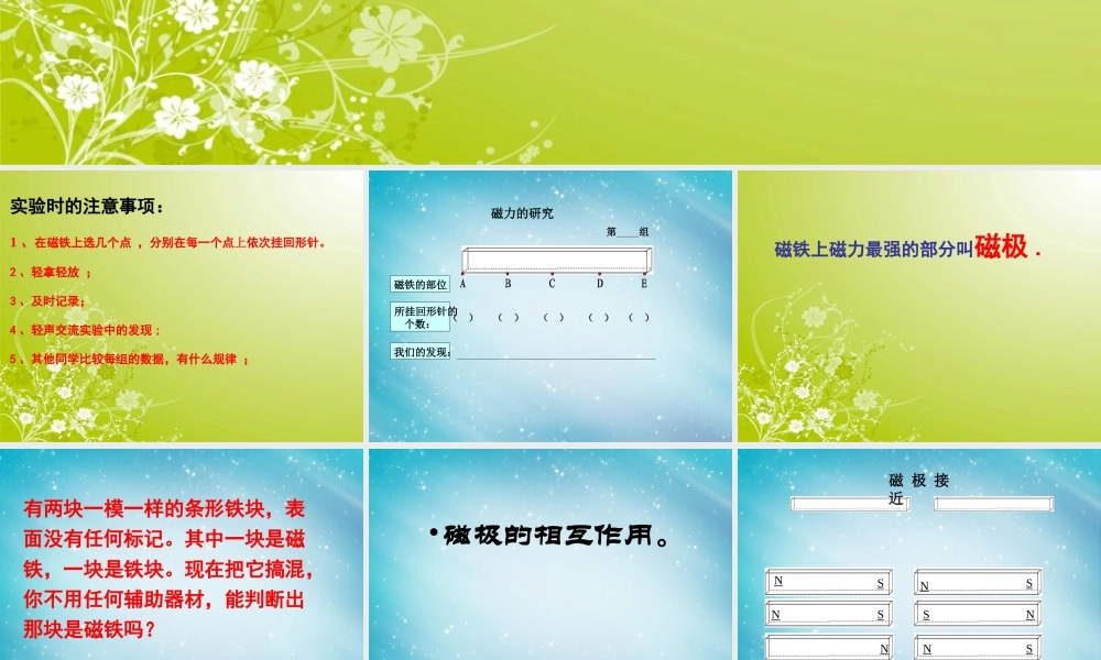 三年级自然与科学下册 磁铁的两极课件 人教版
