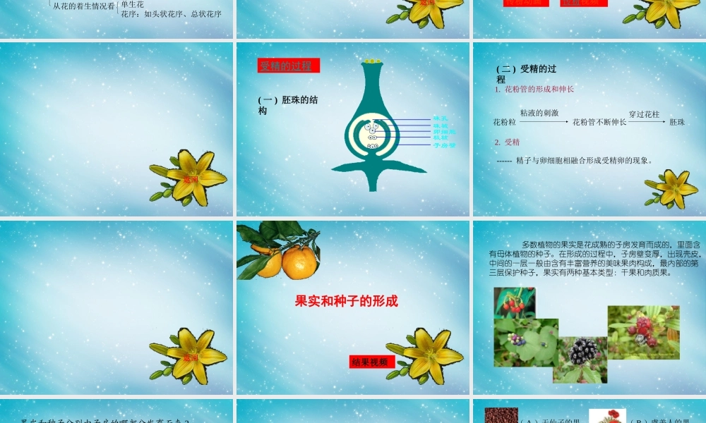 三年级自然与科学下册 开花了、结果了课件 人教版