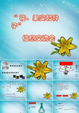 三年级自然与科学下册 开花了、结果了课件 人教版