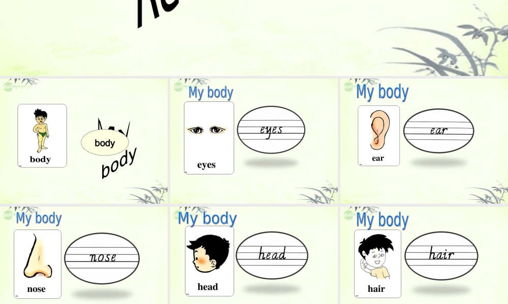 三年级英语上册 Unit 4 lesson 19课件 人教新起点