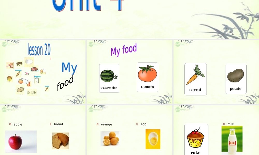 三年级英语上册 Unit 4 lesson 20课件 人教新起点