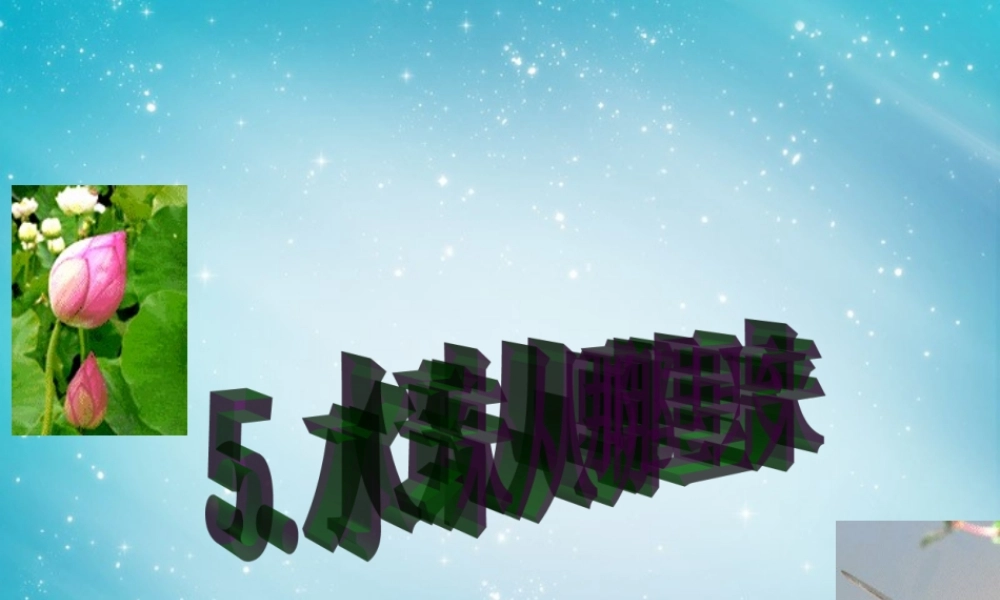 三年级自然与科学下册 水珠从哪里来课件 人教版