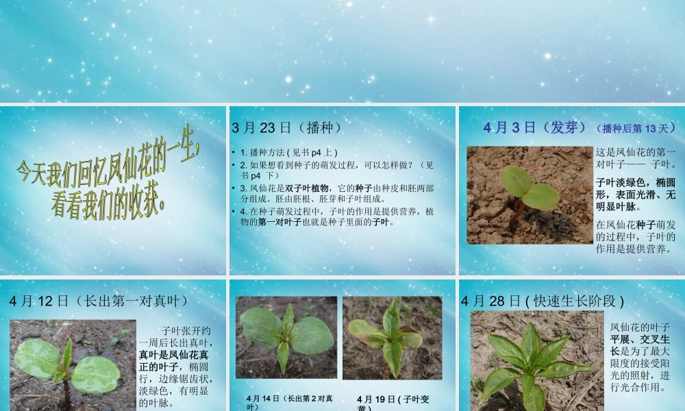 三年级自然与科学下册 我们的大丰收课件1 人教版