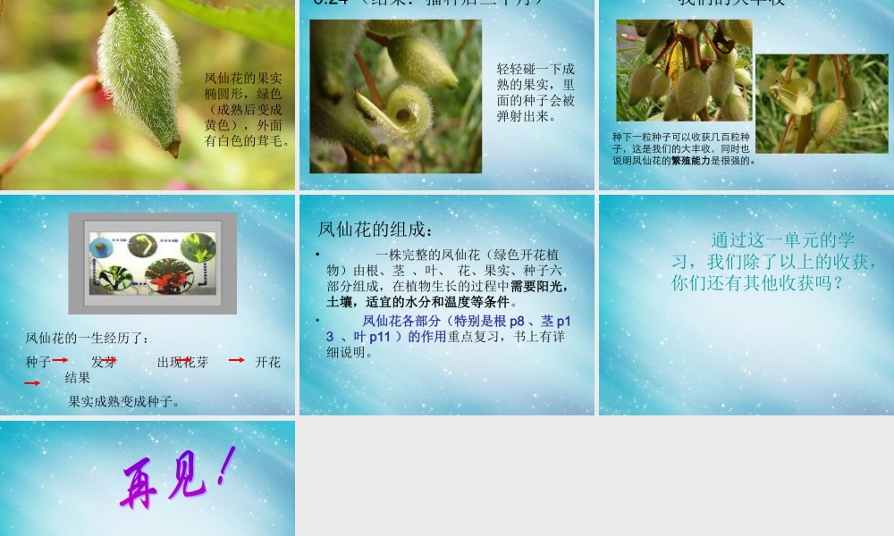 三年级自然与科学下册 我们的大丰收课件1 人教版