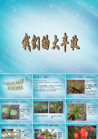 三年级自然与科学下册 我们的大丰收课件1 人教版