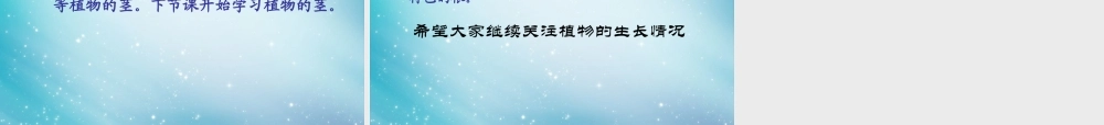 三年级自然与科学下册 我们先看到了根课件2 人教版