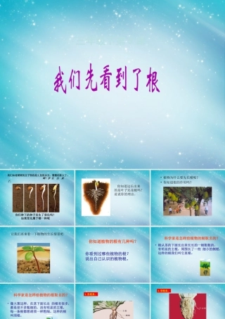 三年级自然与科学下册 我们先看到了根课件2 人教版