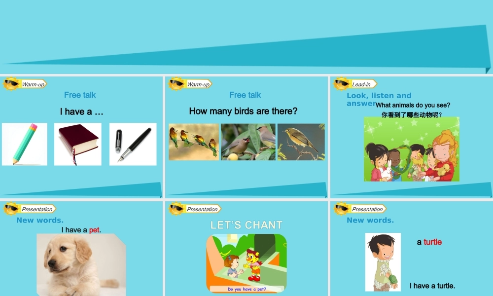 三年级英语上册 Unit 4 Pets（Lesson 1）课件 人教新起点-人教新起点小学三年级上册英语课件