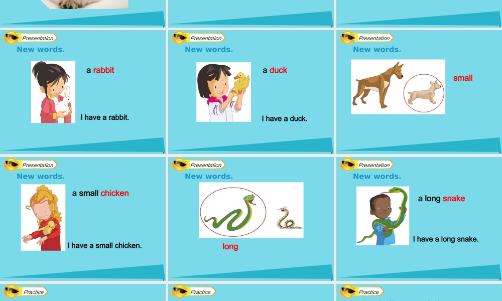 三年级英语上册 Unit 4 Pets（Lesson 1）课件 人教新起点-人教新起点小学三年级上册英语课件