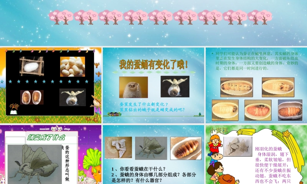 三年级自然与科学下册 蛹变成了什么课件 人教版