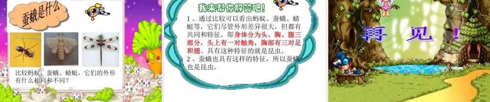 三年级自然与科学下册 蛹变成了什么课件 人教版