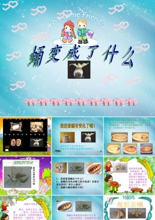 三年级自然与科学下册 蛹变成了什么课件 人教版