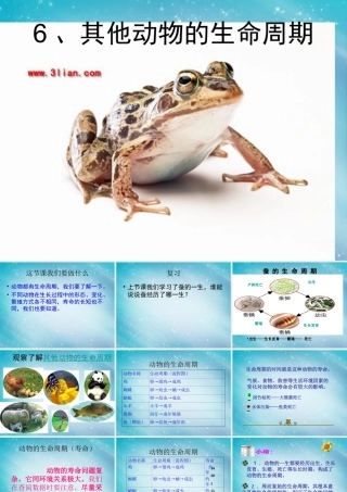三年级自然与学科下册 其他动物的生命周期课件1 人教版