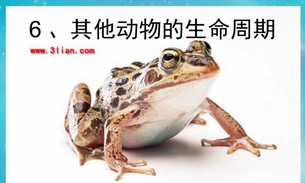 三年级自然与学科下册 其他动物的生命周期课件2 人教版
