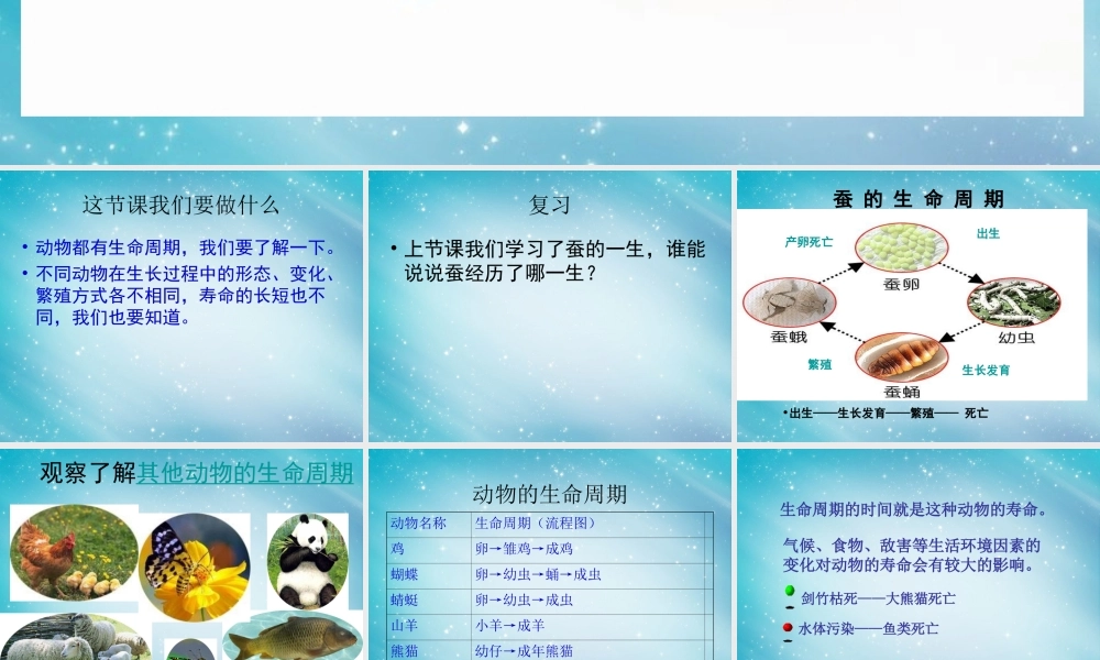 三年级自然与学科下册 其他动物的生命周期课件2 人教版