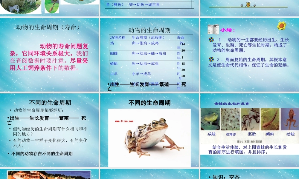 三年级自然与学科下册 其他动物的生命周期课件2 人教版