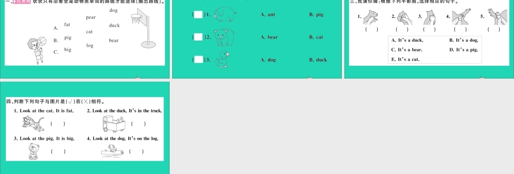 三年级英语上册 Unit 4 We love animals Part A Let's learn Let's chant作业课件 人教PEP-人教PEP小学三年级上册英语课件