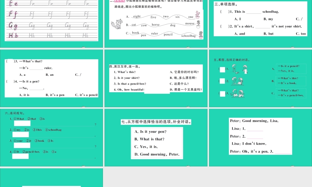 三年级英语上册 Unit 8 What's this第二课时作业课件 湘少版（三起）-湘少版小学三年级上册英语课件