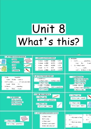 三年级英语上册 Unit 8 What's this作业课件 湘少版-湘少版小学三年级上册英语课件