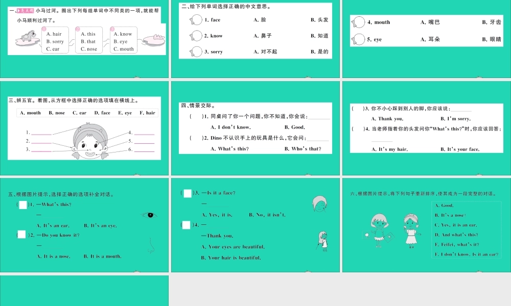 三年级英语上册 Unit 9 It's a mouth第一课时作业课件 湘少版（三起）-湘少版小学三年级上册英语课件