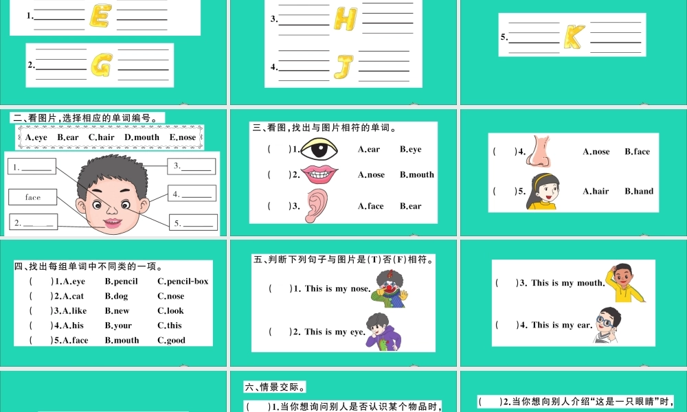 三年级英语上册 Unit 9 It's a mouth作业课件 湘少版-湘少版小学三年级上册英语课件