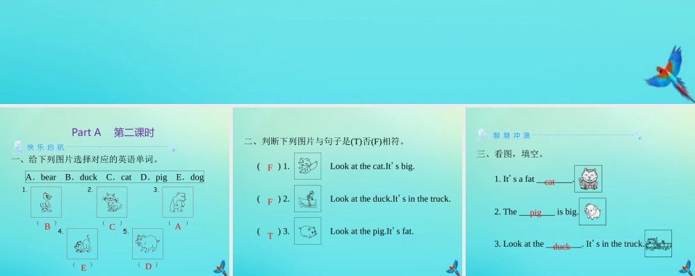 三年级英语上册 Unit 4 We love animals Part A（第2课时）练习课件 人教PEP版-人教PEP小学三年级上册英语课件