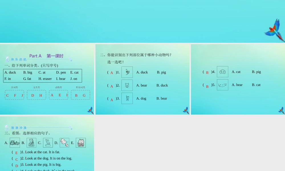 三年级英语上册 Unit 4 We love animals Part A周末自主作业练习课件 人教PEP版-人教PEP小学三年级上册英语课件