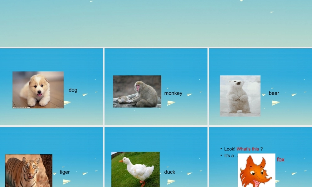 三年级英语下册 Lesson E What's this课件3 川教版（三起）-川教版小学三年级下册英语课件