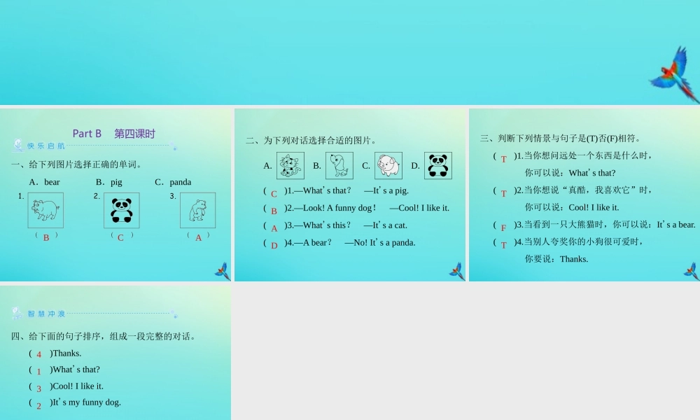 三年级英语上册 Unit 4 We love animals Part B（第4课时）练习课件 人教PEP版-人教PEP小学三年级上册英语课件