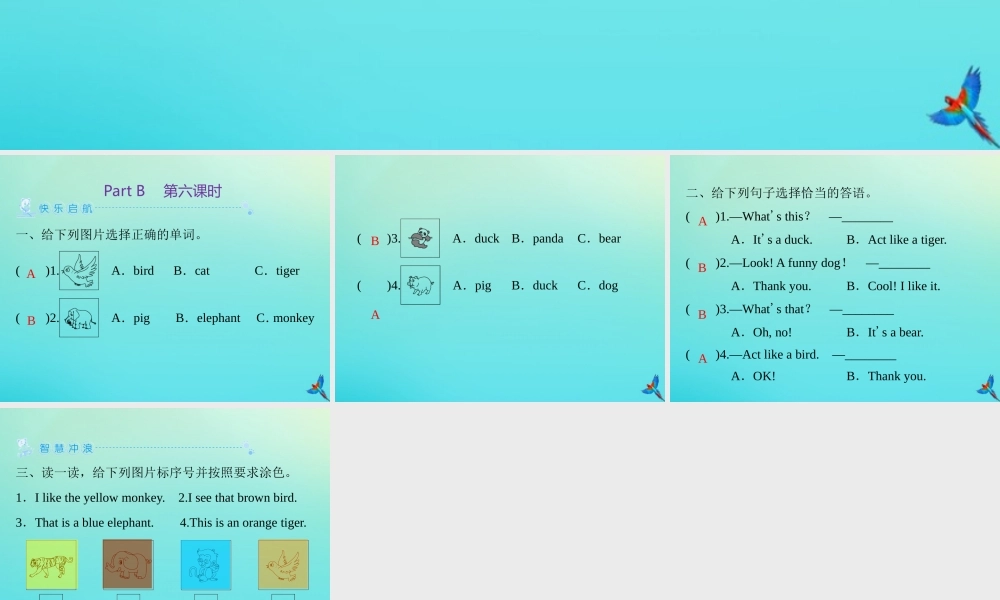 三年级英语上册 Unit 4 We love animals Part B（第6课时）练习课件 人教PEP版-人教PEP小学三年级上册英语课件