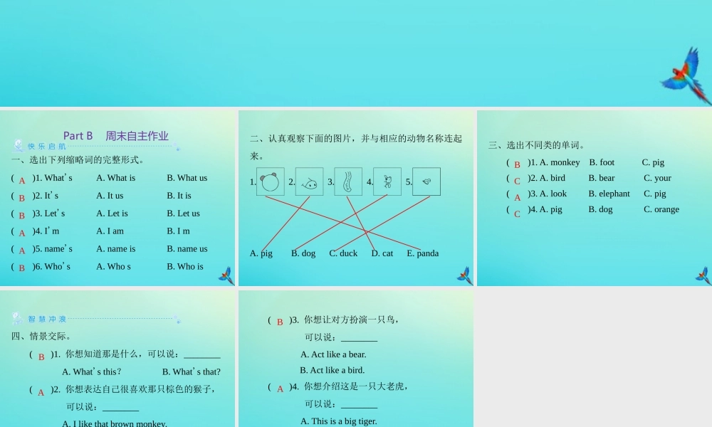 三年级英语上册 Unit 4 We love animals Part B周末自主作业练习课件 人教PEP版-人教PEP小学三年级上册英语课件