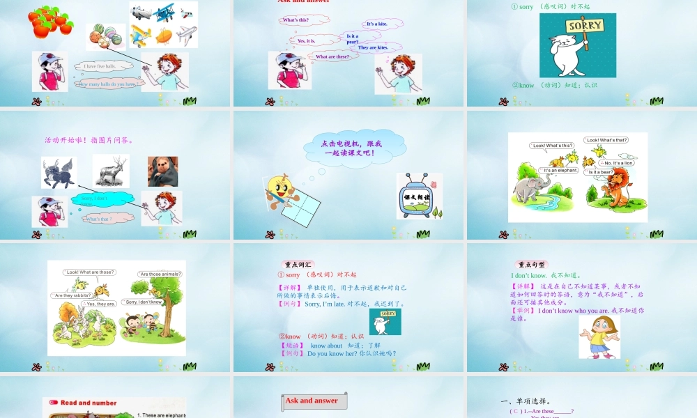 三年级英语上册 Unit 7 Are these bears（第4课时）课件 陕旅版（三起）-陕旅版小学三年级上册英语课件
