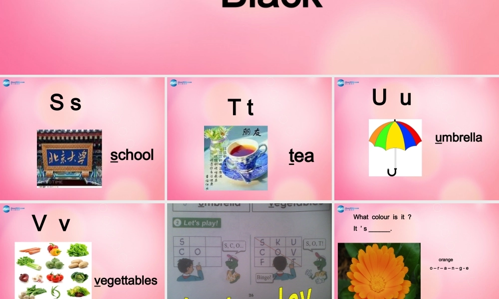 三年级英语上册 Unit2 Friends and Colours Lesson 11 Orange, Brown, White, Blac课件 冀教版（三起）-冀教版小学三年级上册英语课件