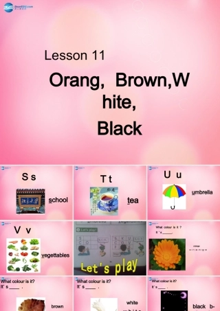 三年级英语上册 Unit2 Friends and Colours Lesson 11 Orange, Brown, White, Blac课件 冀教版（三起）-冀教版小学三年级上册英语课件