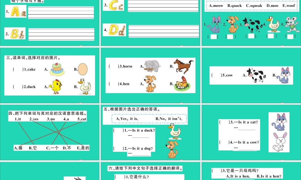 三年级英语上册 Unit 7 it's a dog作业课件 湘少版-湘少版小学三年级上册英语课件