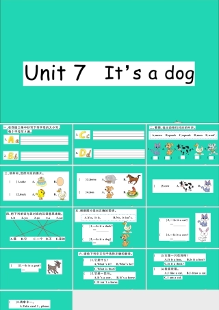 三年级英语上册 Unit 7 it's a dog作业课件 湘少版-湘少版小学三年级上册英语课件