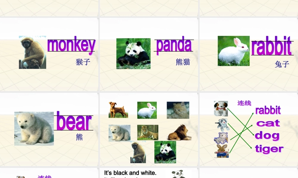 三年级英语上册 Unit2(13)课件 苏教牛津版