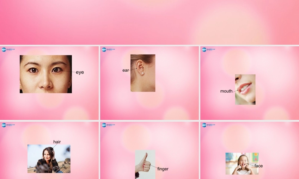 三年级英语上册 Unit3 Body and Feelings Lesson 15 Left and Right课件 冀教版（三起）-冀教版小学三年级上册英语课件