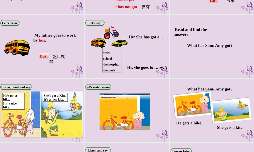 三年级英语下册 Module 9 Unit 2 Has Amy got a bike课件 外研版（三起）-外研版小学三年级下册英语课件