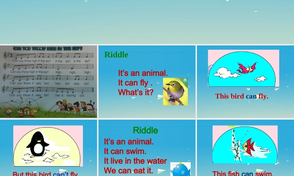 三年级英语下册 Lesson O Can you fly课件1 川教版（三起）-川教版小学三年级下册英语课件