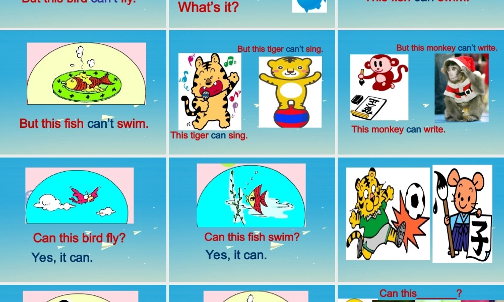 三年级英语下册 Lesson O Can you fly课件1 川教版（三起）-川教版小学三年级下册英语课件