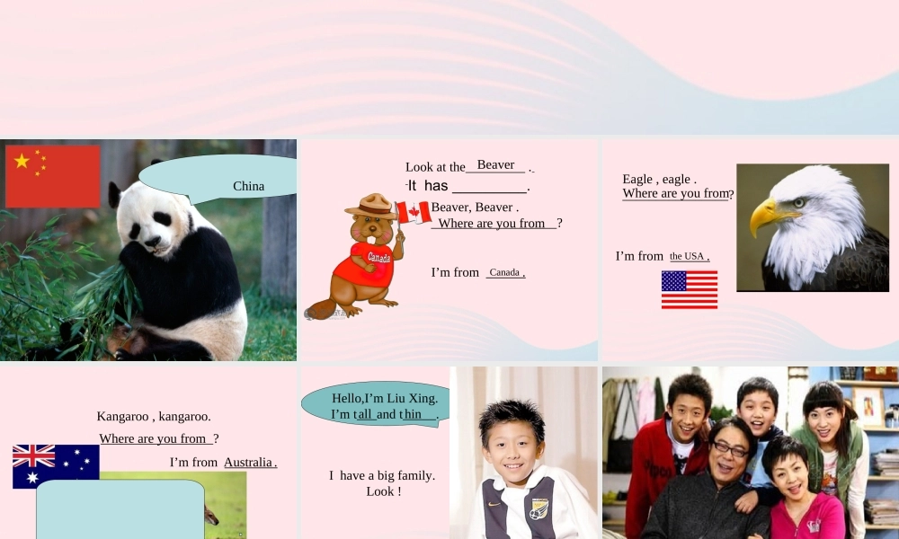 三年级英语下册 Recycle 1 Read aloud教学课件1 人教PEP-人教PEP小学三年级下册英语课件