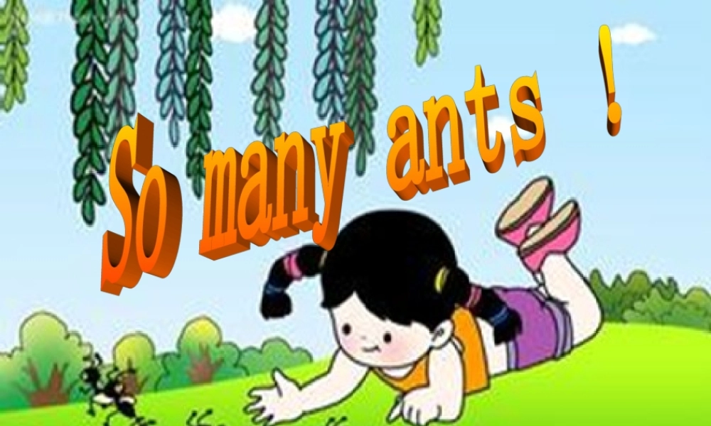 三年级英语下册 Lesson W So many ants课件 川教版（三起）-川教版小学三年级下册英语课件