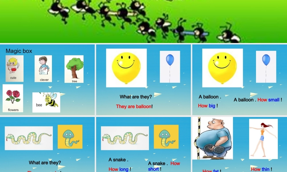 三年级英语下册 Lesson W So many ants课件 川教版（三起）-川教版小学三年级下册英语课件